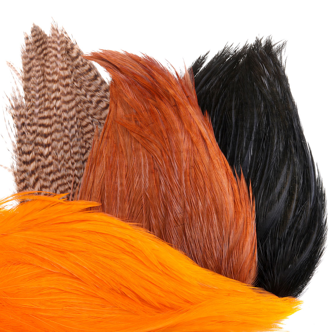 P-21028_ewing_deceiver-patch_grade-1_titel