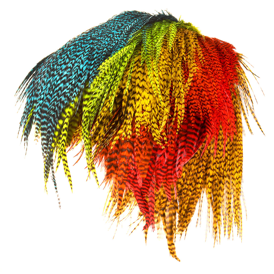 P-18885_future-fly_freshwater_rooster_saddle_grizzly_titel Future Fly Freshwater Rooster Saddle Grizzly