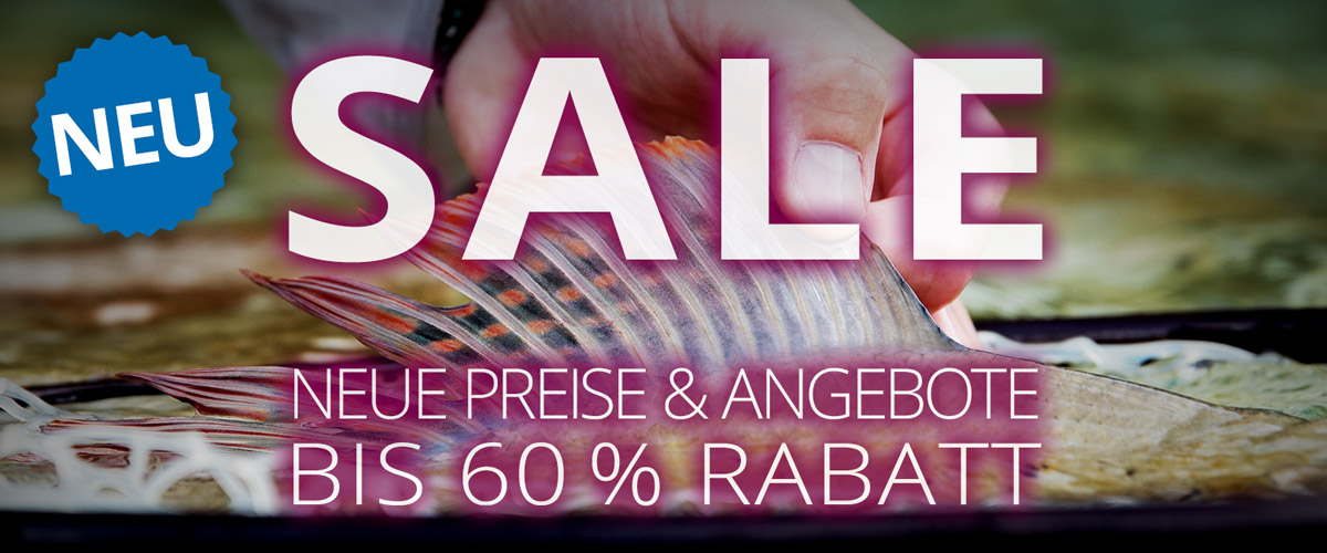 SALE: neue Angebote mit bis zu 60%