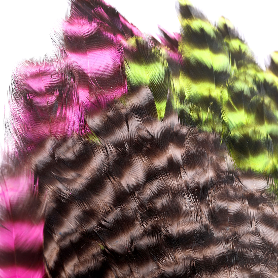 P-25377_Whiting-American-Hen-Cape_detail_2