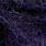 black violet