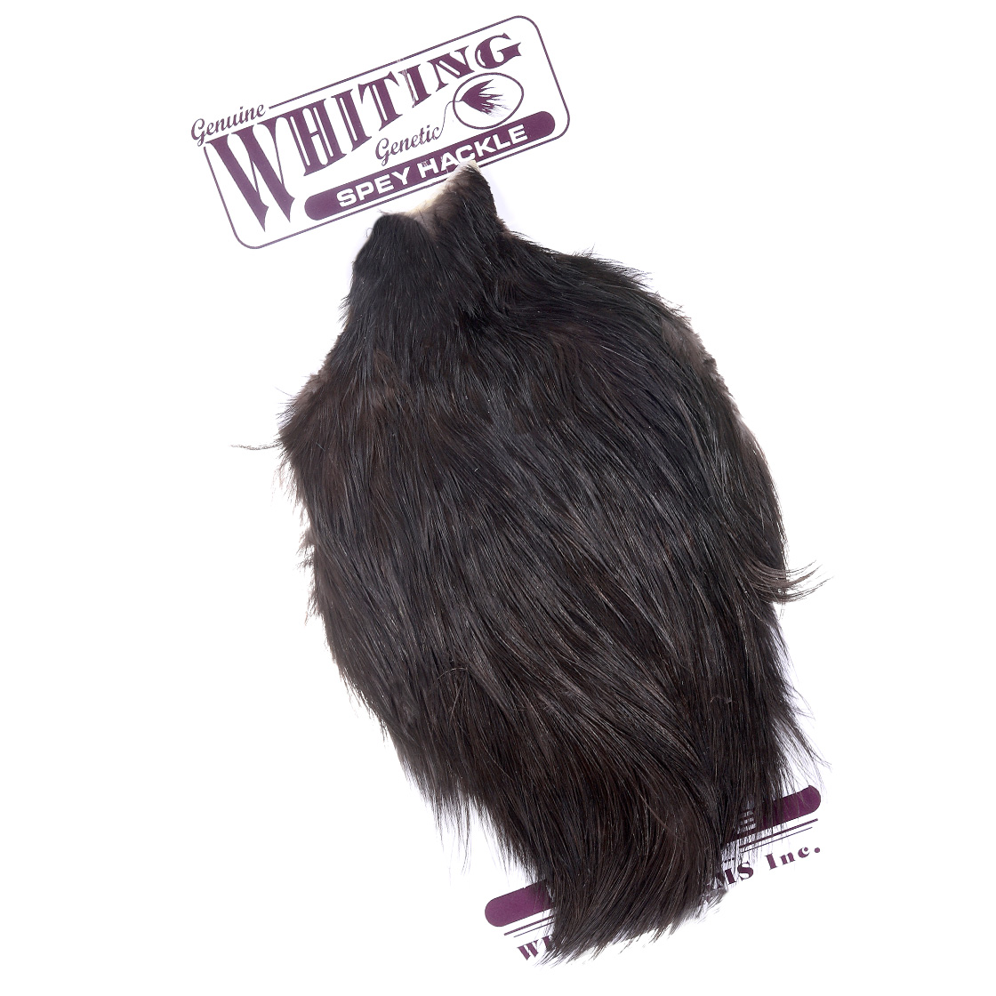 Whiting Spey Hackle Hen Cape