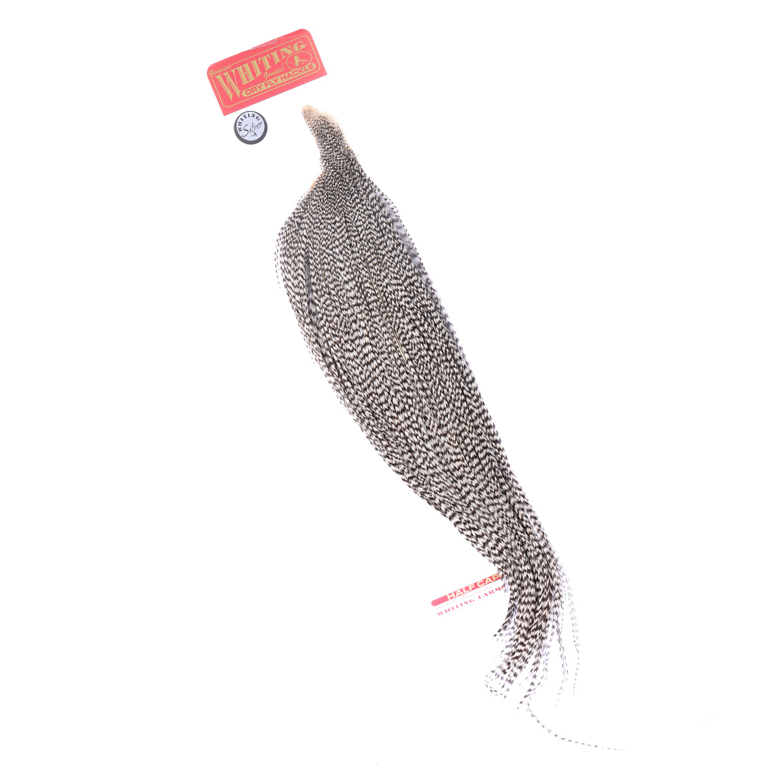 Whiting Silver 1/2 Cape Whiting Silver 1/2 Cape