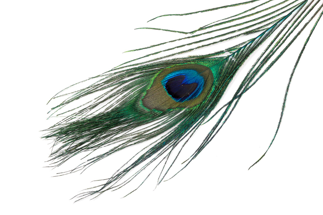 veniard_peacock_eye_tops_blue blue