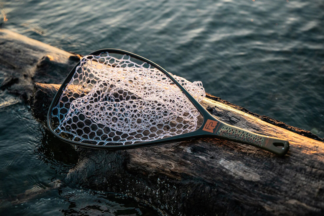 andere Farbe (brown trout)
