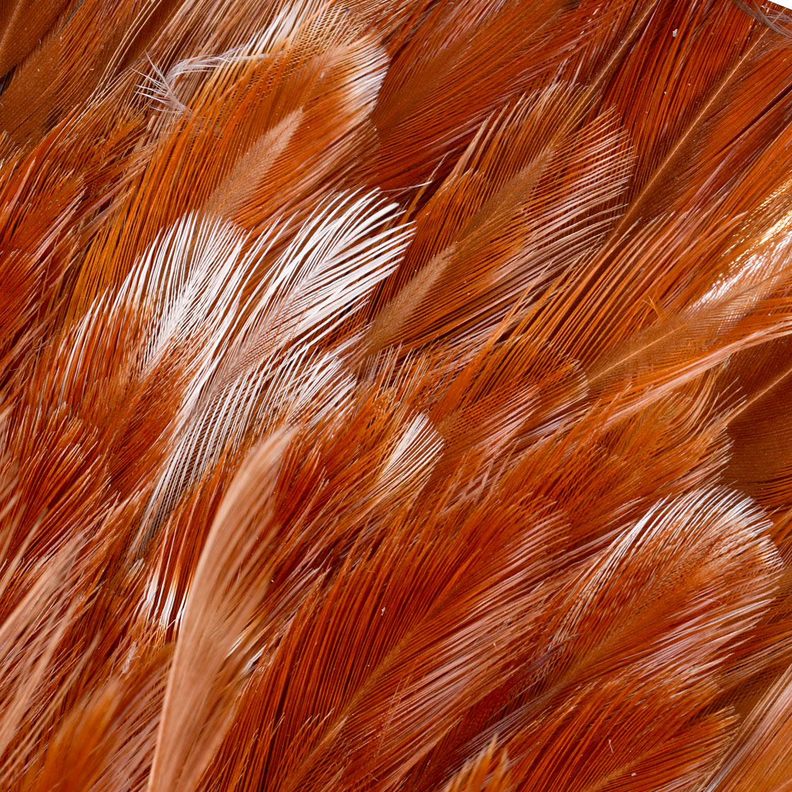 P-25382_Whiting-American-Streamer-Pack_detail-3