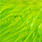 fluo green chartreuse