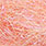 saltwater prawn pink