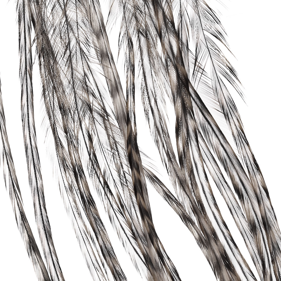 grizzly dyed medium dun