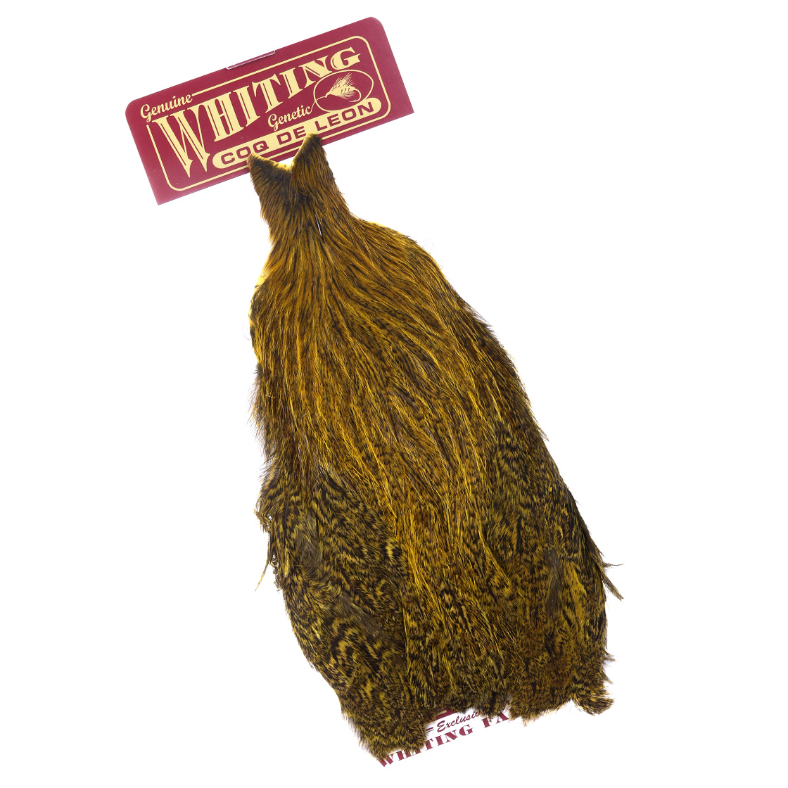 Whiting Coq de Leon Hen Cape