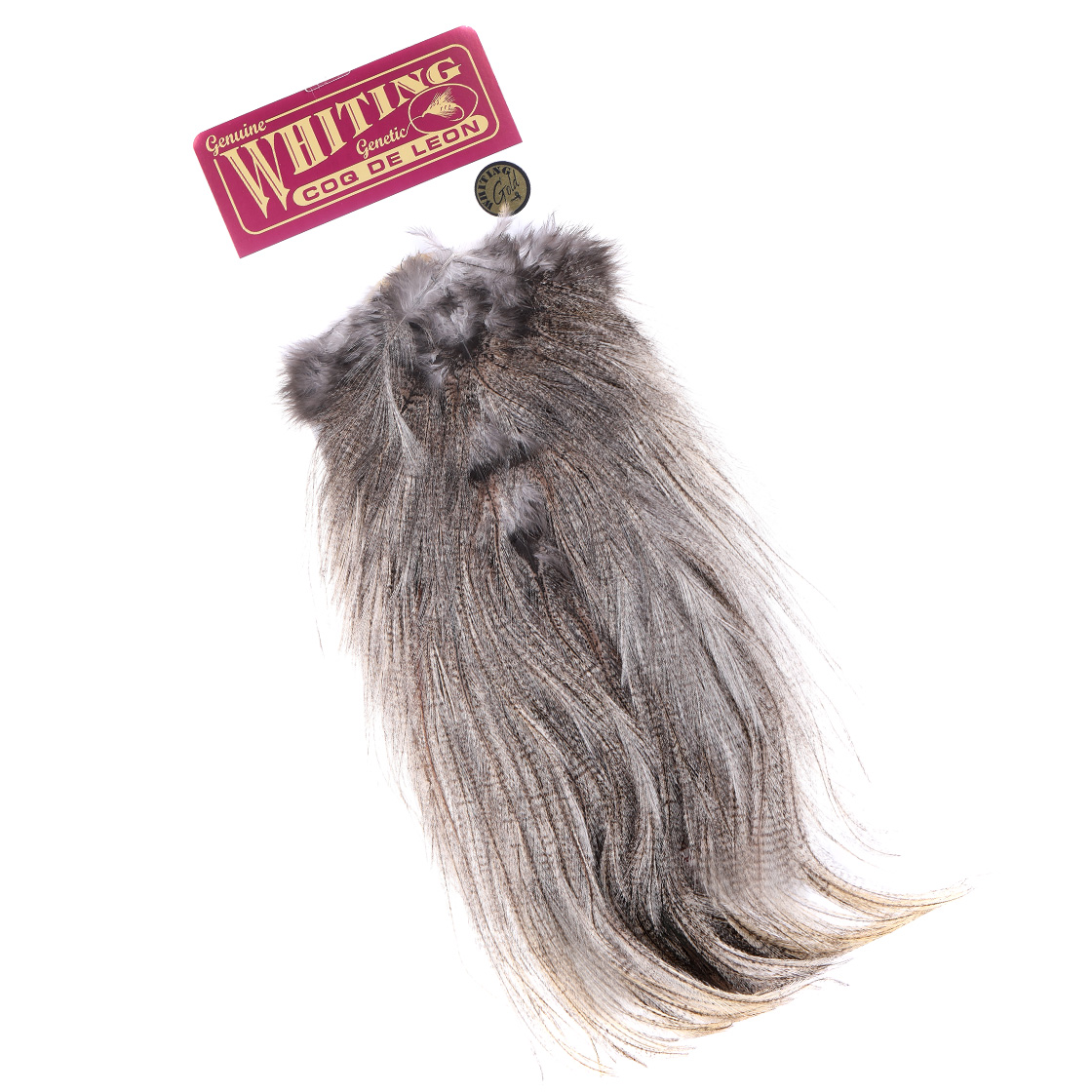 Whiting Coq De Leon Gold Grade Saddle Whiting Coq De Leon Gold Grade Saddle