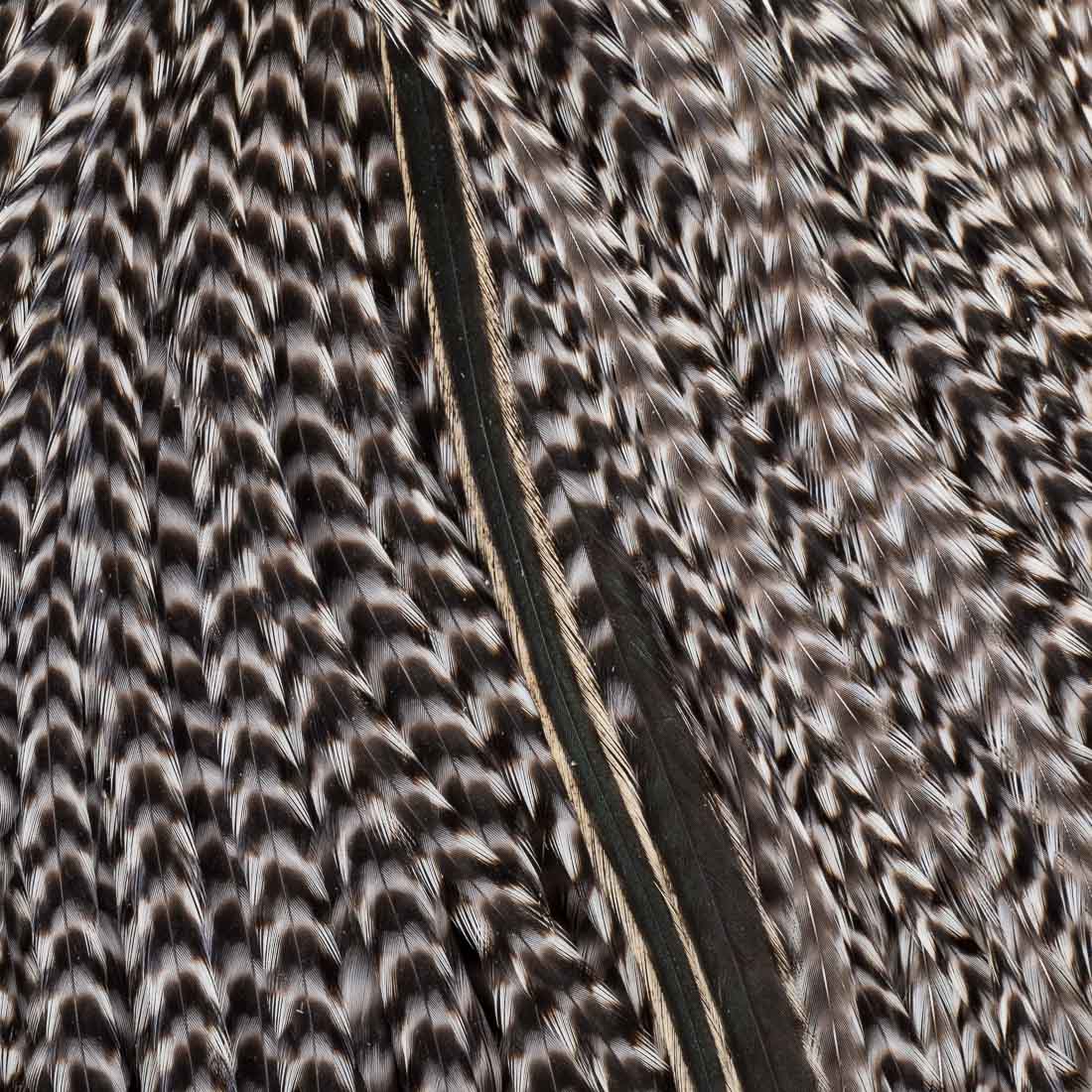 wapsi-metz-cock-saddle-grizzly-2