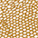 gator brown/clear