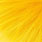 lion yellow