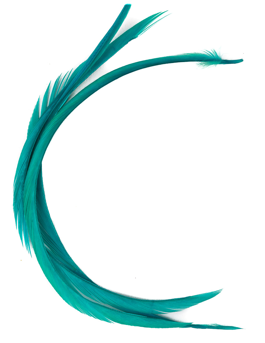 veniard_goose_biots_kingfisherNtzesMOmafbn0 kingfisher blue