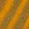gold/pumpkin SFCN435