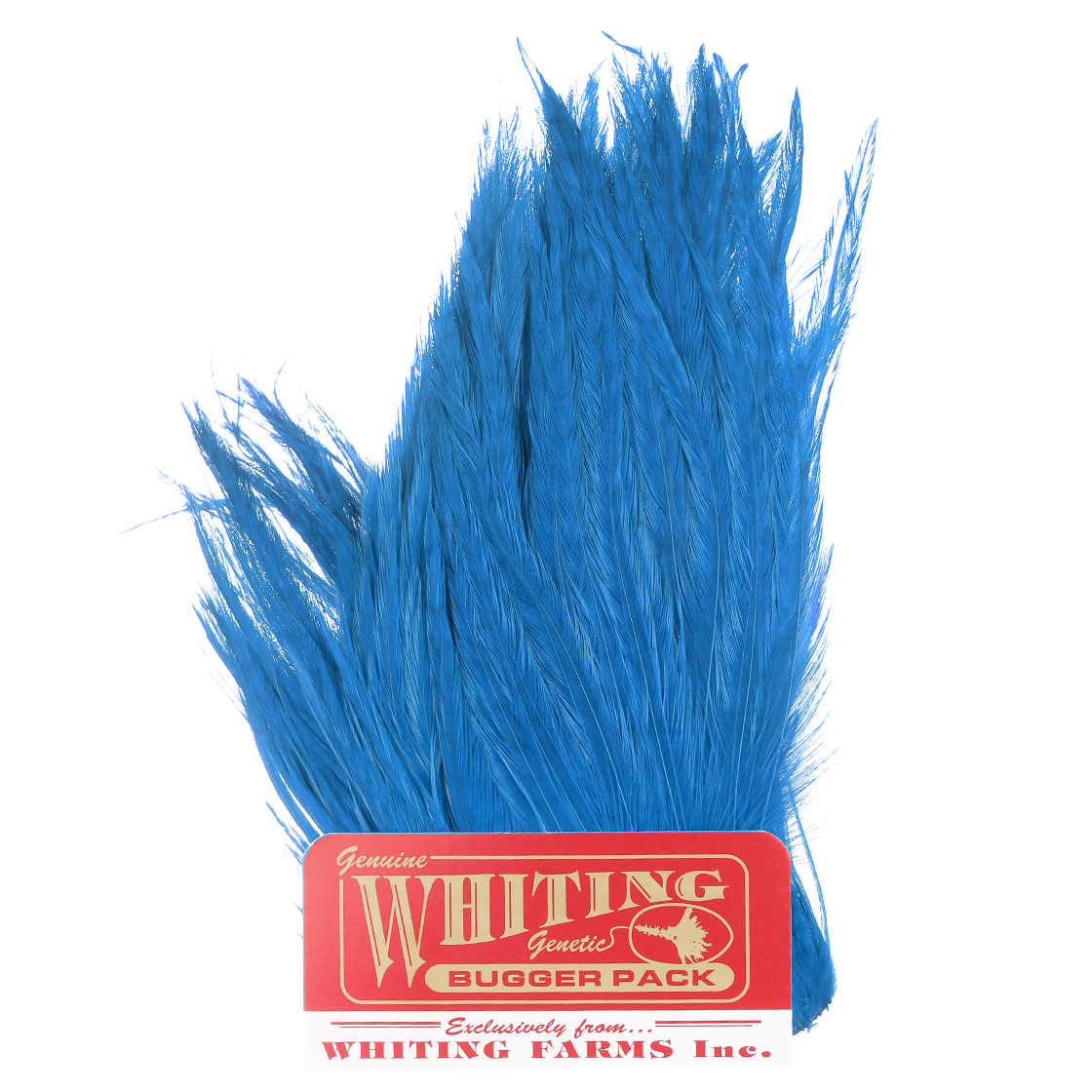 white dyed kingfisher blue