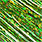 6989 chartreuse