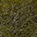 16 dark olive