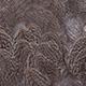 brown speckled
