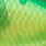 lime chart