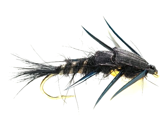 P-29097_Fulling_Mill_Golden_Nugget_Stonefly_Creeper_Black_ Fulling Mill Golden Nugget Stonefly Creeper Black #10 Steinfliege