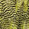 grizzly yellow