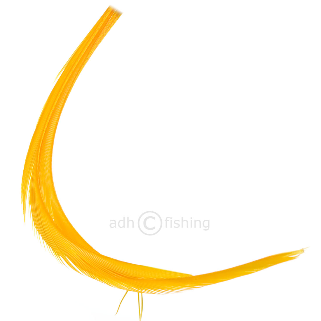 sulphur orange