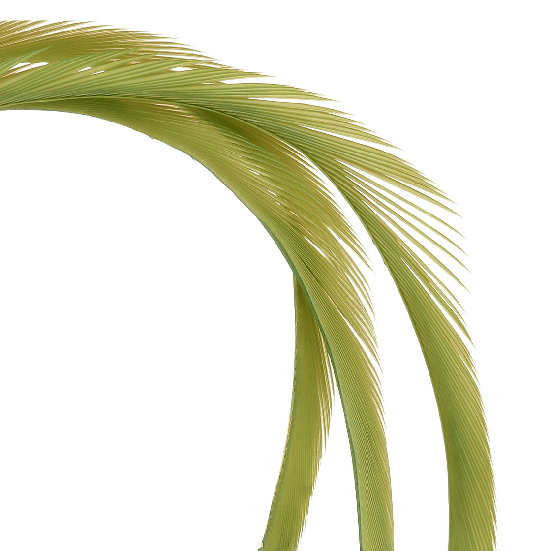 bright yellow olive