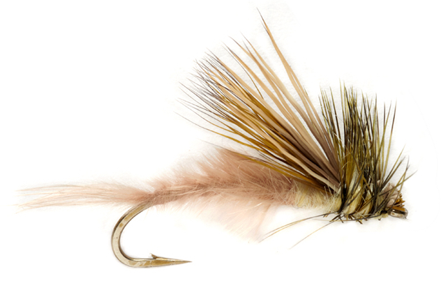 Fulling Mill Trockenfliege - Procter's  Mayfly Emerger Maifliege