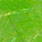 05 chartreuse