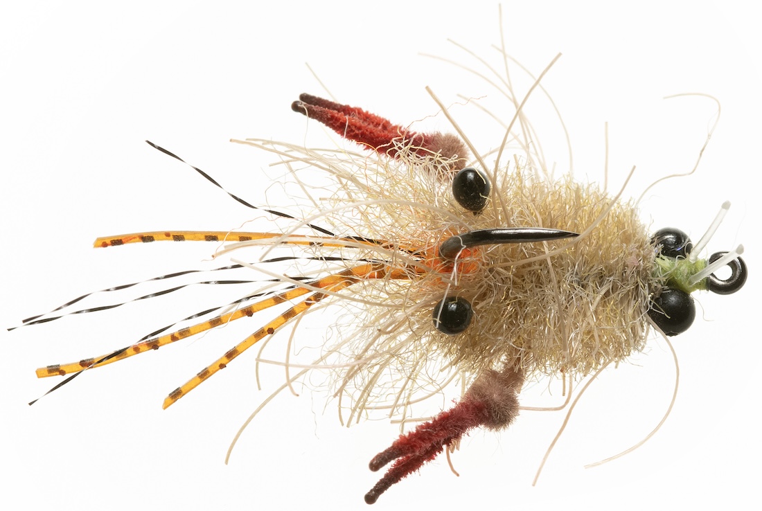 P-28688_Enrico_Puglisi_EP-R-_TARANTULA_CRAB-MOTTLED_TAN-2_MINI-BEAD_CHAIN