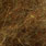 brown olive