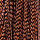 grizzly dyed golden brown