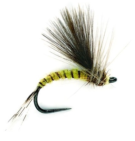 Fulling Mill Trockenfliege - CDC Olive Emerger Barbless
