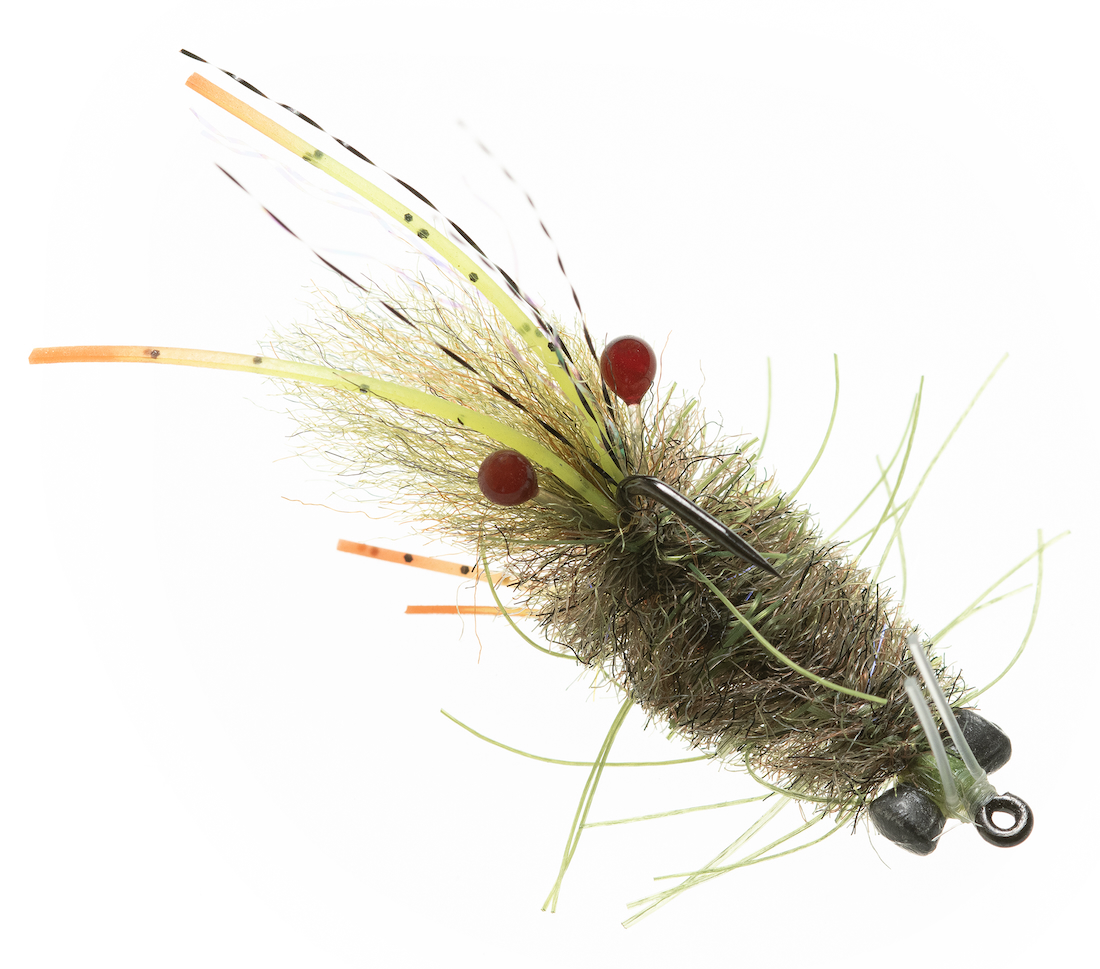 Enrico Puglisi MANTIS SHRIMP - OLIVE - #6