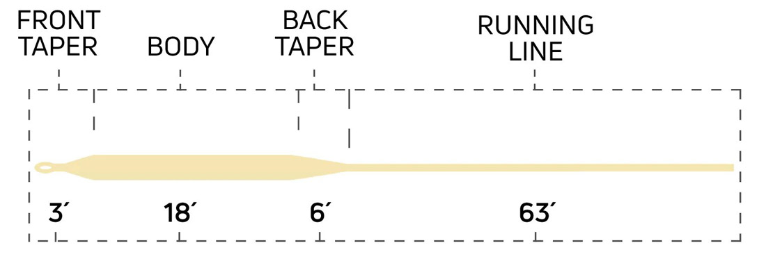 Cortland_444_Tropical_All_Purpose_Fliegenschnur_sand_Taper