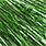 6907 mint