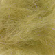medium olive