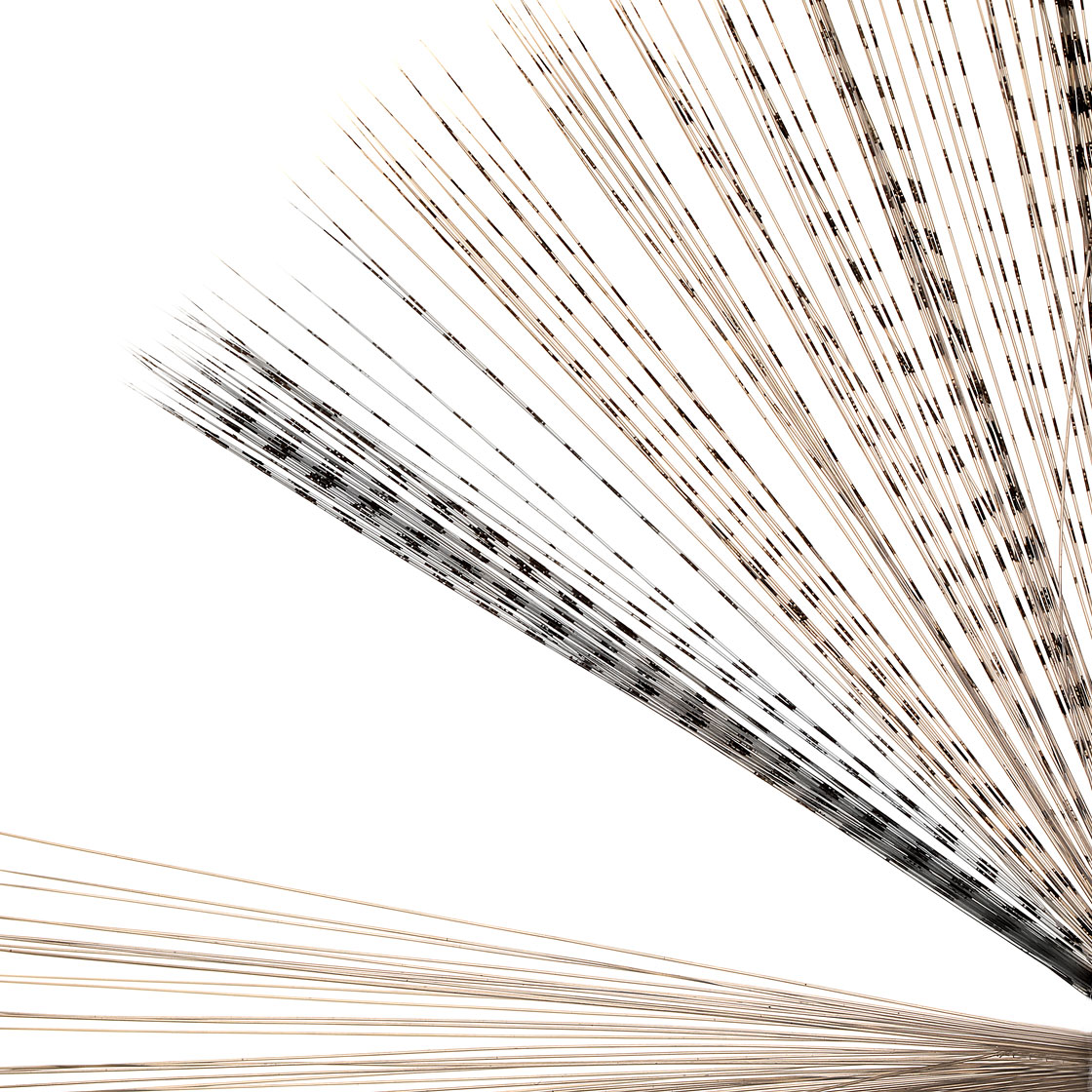 P-17454_soldarini_microfibbets_titel_2