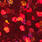 holo rot