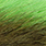 insect green