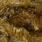 olive brown