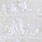 01 transparent