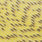 mayfly yellow