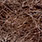 10 dark brown