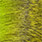 fluo chartreuse