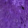 white dyed purple