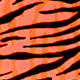 orange fluo barred