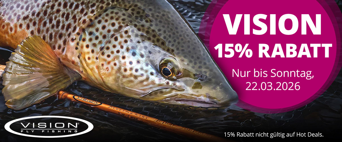 15% auf VISION bis 22.3.